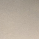 Plush Bone (EasyClean Velvet)
